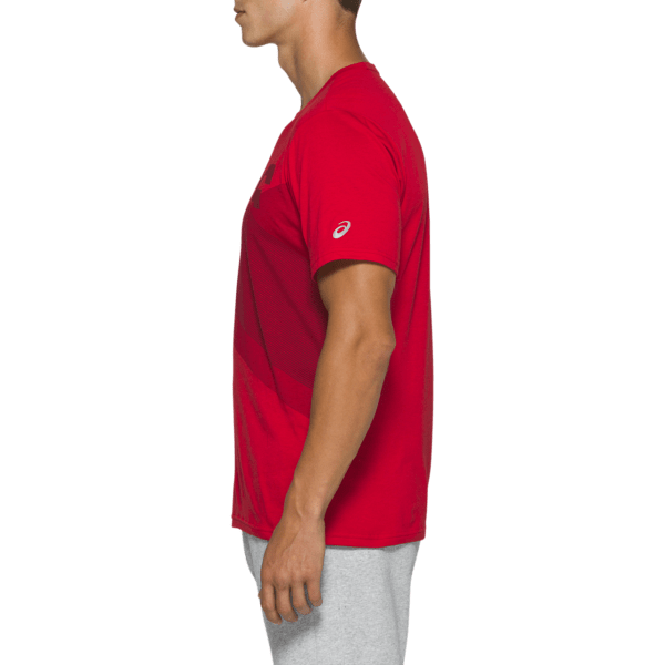 Meeste T-särk Asics Tokyo Graphic Tee M 2020 (Classic Red/Beet Juice)